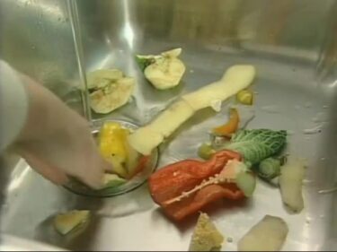 ディスポーザー　本体のみ　使えます。 日本ゼスト製品メンテナンス(故障・修理)｜ディスポーザーは日本